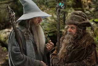 Gandalf and Radagast