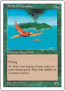 A Fifth Edition Birds of Paradise