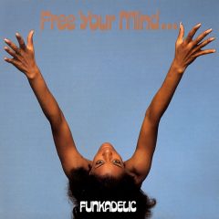 Friday Night, August 14th - Funkadelic
