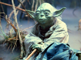 Yoda the Puppet in the Dagobah Swamp