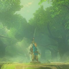 Legend of Zelda Breath of the Wind