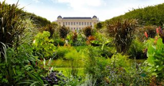 Royal Botanical Gardens in Paris