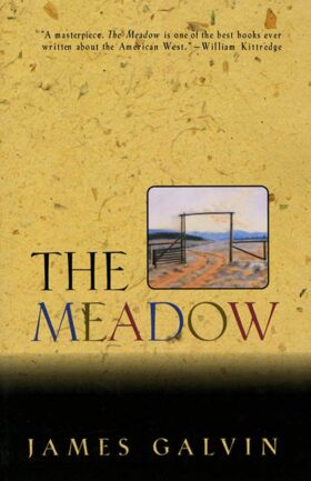 The Meadow Book Cover