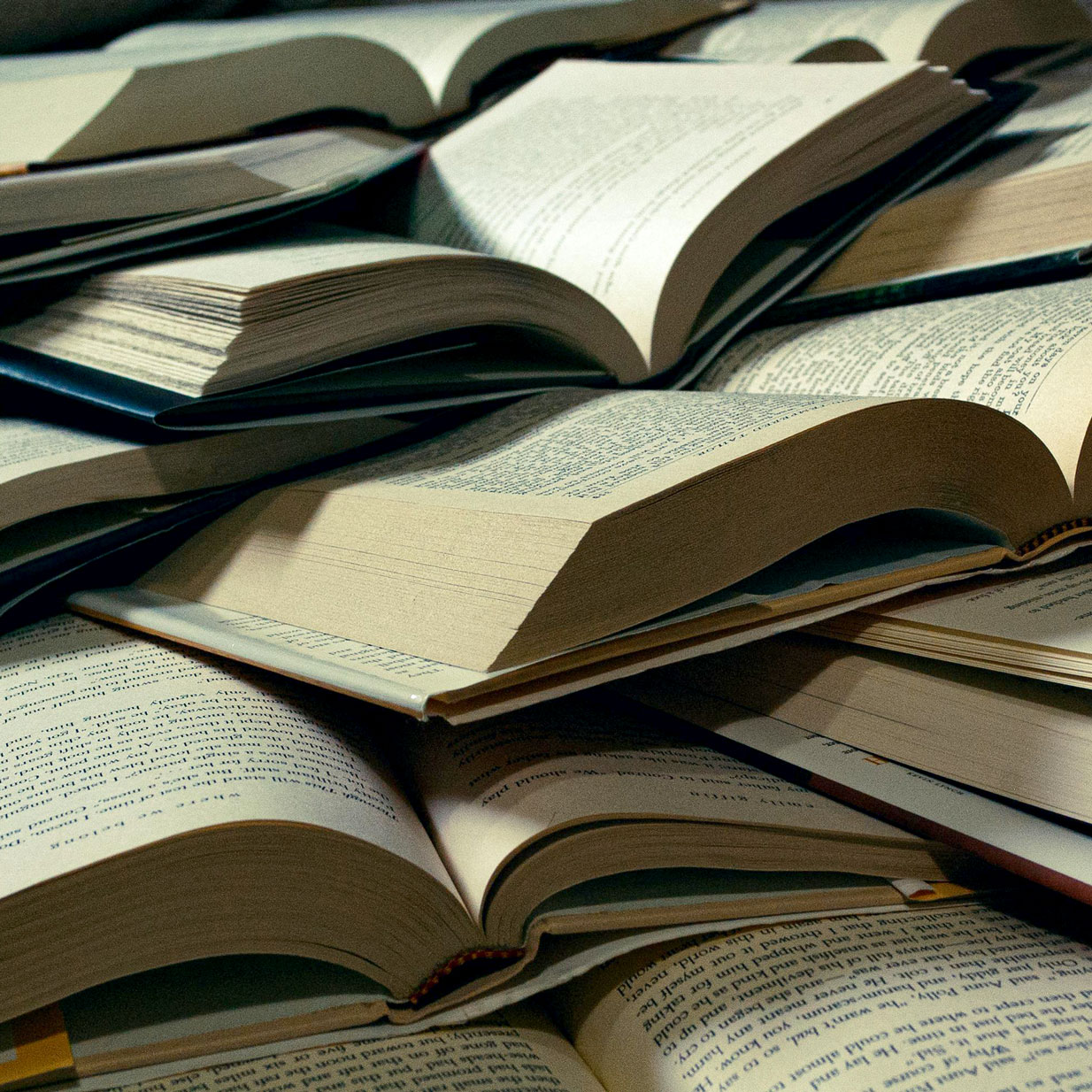 The Methodical Book Purge by Agent Palmer
